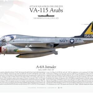 A fighter jet with the words " a-1 1 5 arabs ".