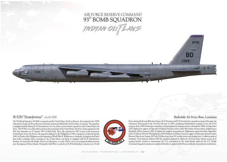A poster of the u. S. Air force 's 9 1 st bomb squadron