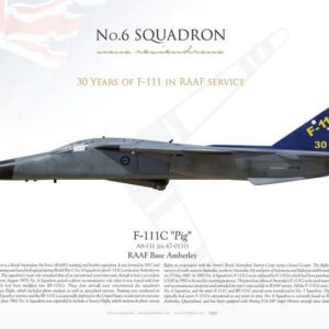 A poster of the fighter jet, no. 6 squadron