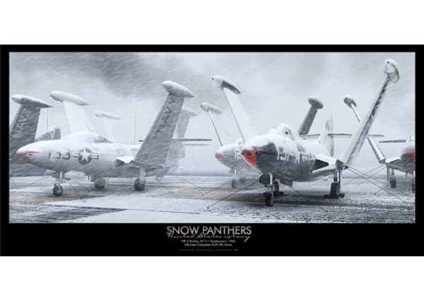 A poster of two planes in the snow.